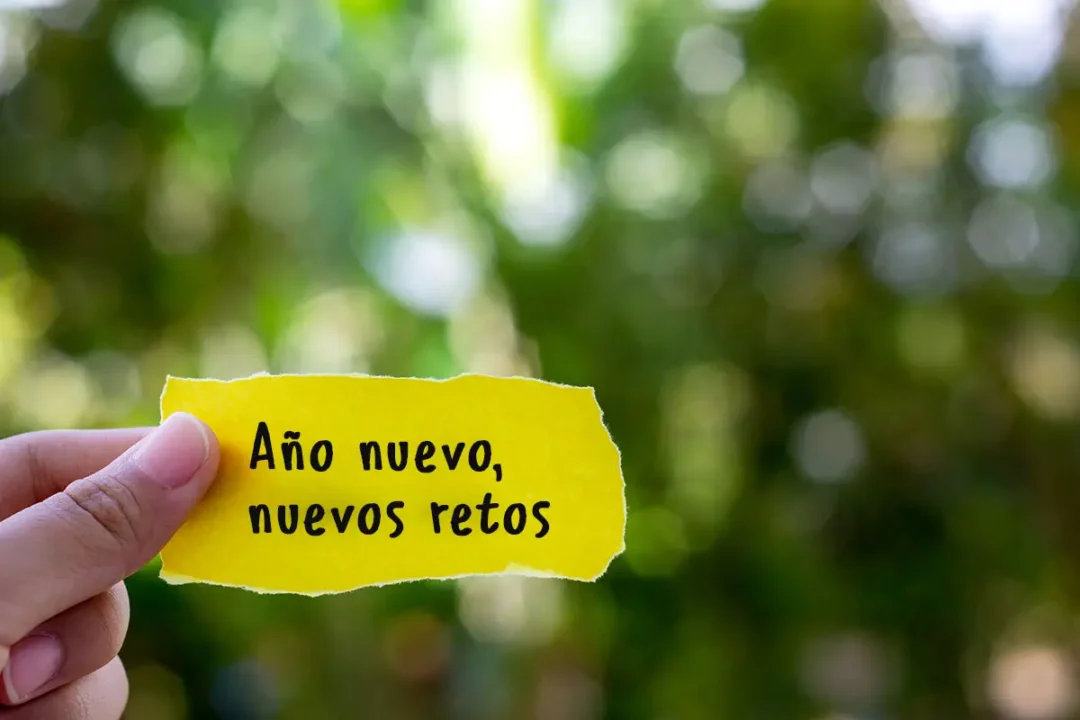 comienzo de año en quesos la ricura