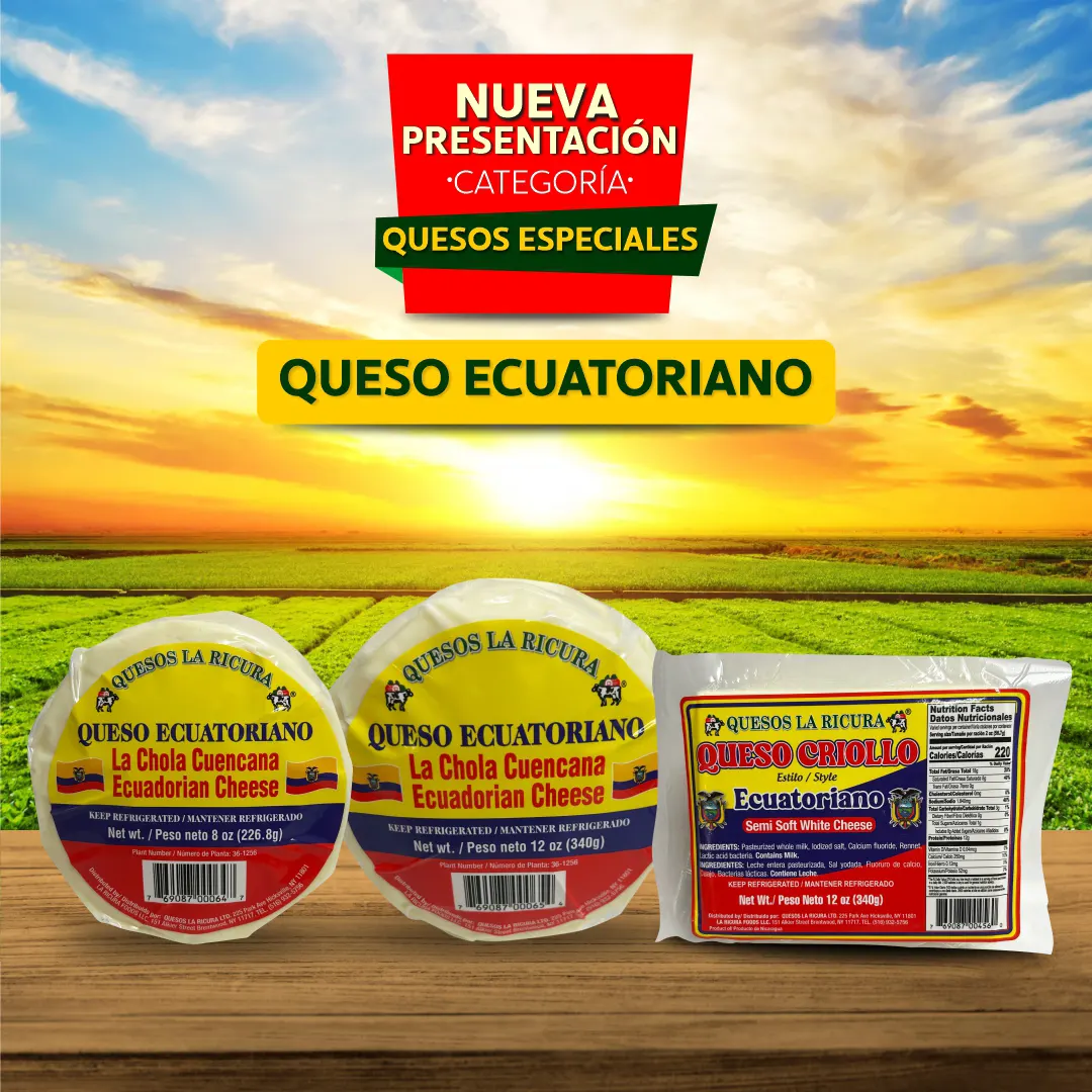 queso ecuatoriano copia